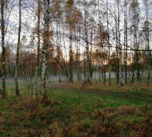 MPGK uporządkuje tereny na Zabobrzu