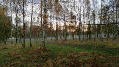 MPGK uporządkuje tereny na Zabobrzu