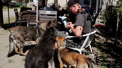 Wyjątkowy azyl dla chorych i cierpiących zwierząt