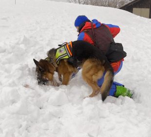 Lawina w Czarnym Kotle Jagniątkowskim