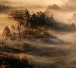 W poszukiwaniu światła