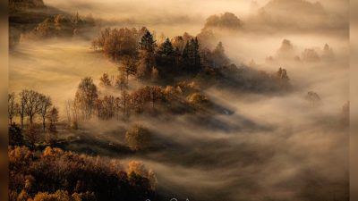 W poszukiwaniu światła