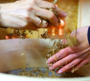 Powstał pierwszy w Polsce Społeczny Bank Nasion