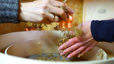 Powstał pierwszy w Polsce Społeczny Bank Nasion