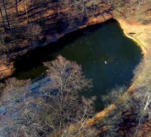 Wypięknieje park Wollerów w Leśnej