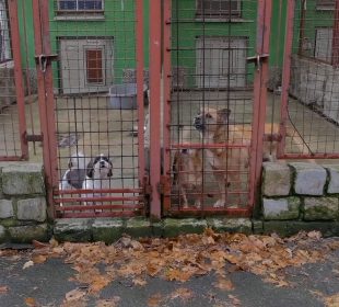 Wydarzenia z dnia  13.01.2021 r.