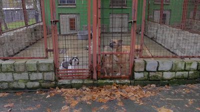 Wydarzenia z dnia  13.01.2021 r.