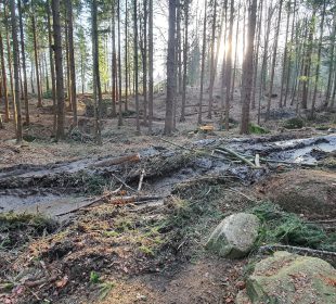 Single tracki w opłakanym stanie Single tracki w opłakanym stanie