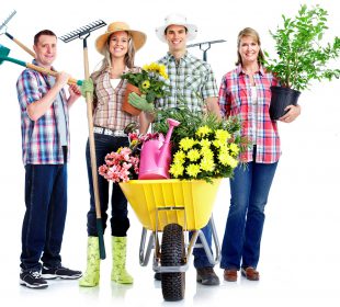 Projekt Zielona Ławeczka