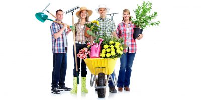 Projekt Zielona Ławeczka Projekt Zielona Ławeczka