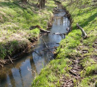 Omal nie utonął w wodzie po kolana. Uratowała go funkcjonariuszka straży granicznej Omal nie utonął w wodzie po kolana. Uratowała go funkcjonariuszka straży granicznej
