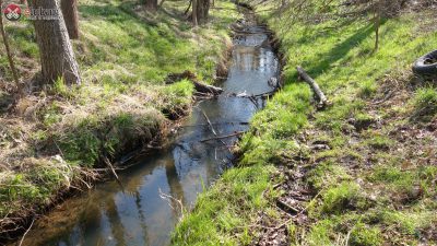 Omal nie utonął w wodzie po kolana. Uratowała go funkcjonariuszka straży granicznej