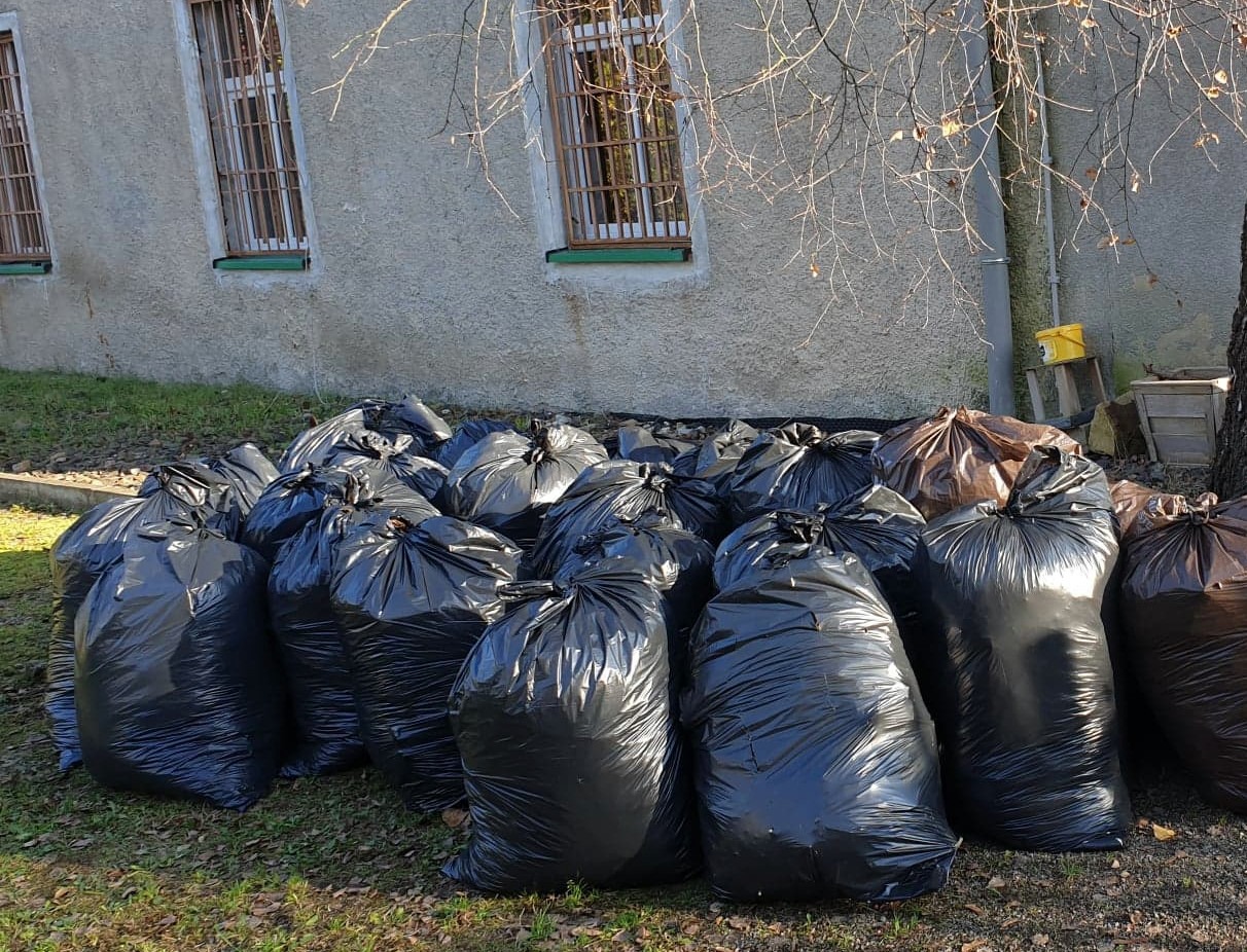 Włącz się do akcji sprzątania świata