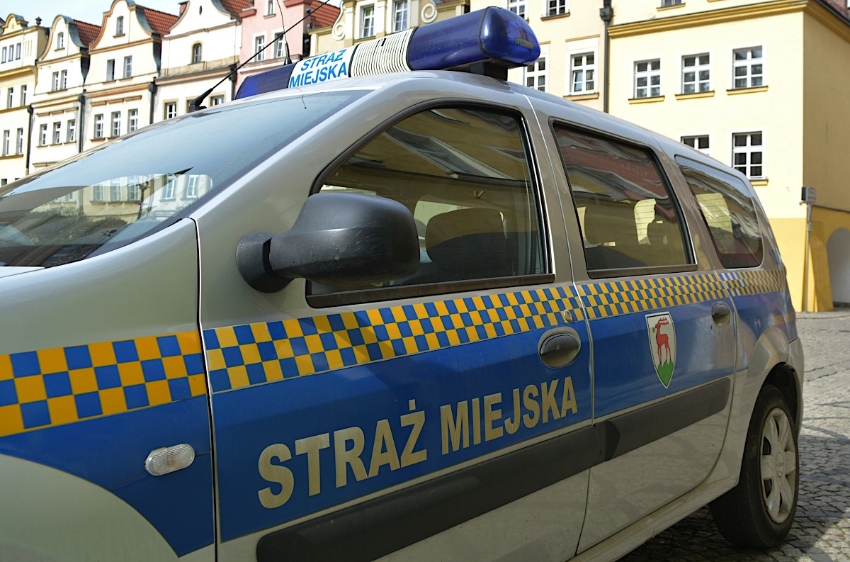 Blisko sto interwencji podjęła Straż Miejska  w miniony weekend