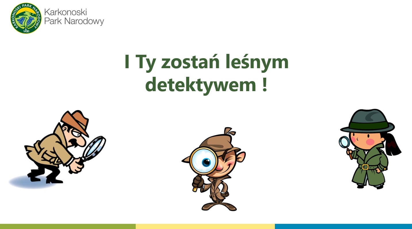 Zostań leśnym detektywem z Karkonoskim Parkiem Narodowym