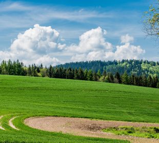 Samorząd województwa dolnośląskiego wspiera obszary wiejskie