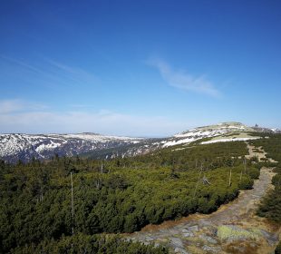 Konkurs „(NIE)PRZETARTE SZLAKI”