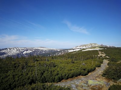 Konkurs „(NIE)PRZETARTE SZLAKI”