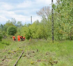 Ruszyły prace związane z Koleją Izerską