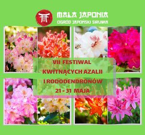 Festiwal  kwitnących Azalii i Rododendronów