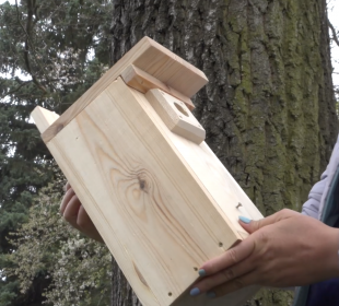 Budki dla ptaków zawisły w KPSW