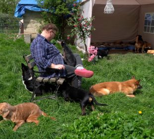 Staruszkowo potrzebuje pomocy!