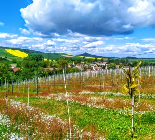 Szlak ma smak! – nowa kampania promująca Dolny Śląsk