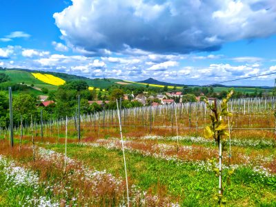Szlak ma smak! – nowa kampania promująca Dolny Śląsk
