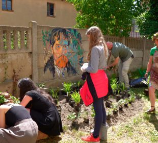 W “Rzemiosłach” posadzili ulubione kwiaty Stanisława Wyspiańskiego