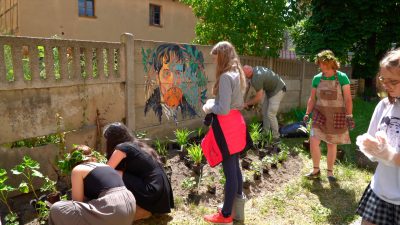 W “Rzemiosłach” posadzili ulubione kwiaty Stanisława Wyspiańskiego