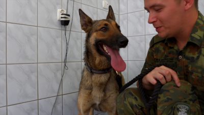 Trwa selekcja psów do służby w Straży Granicznej