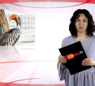 Wydarzenia z dnia 02.06.2021 r.