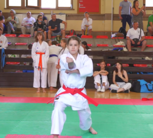 XVI Otwarte Mistrzostwa Karkonoszy w Karate