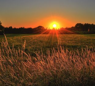 Poznaliśmy rozstrzygnięcie konkursu przedsięwzięć promujących odnowę wsi Poznaliśmy rozstrzygnięcie konkursu przedsięwzięć promujących odnowę wsi