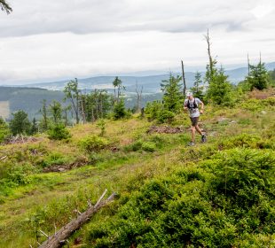Ultra Sowa i Puchar Sudetów w Bielawie
