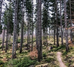 Nadleśnictwo Śnieżka ma informacje dla miłośników rowerów