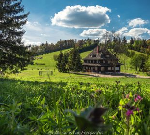 Koncert “W górach jest wszystko co kocham”