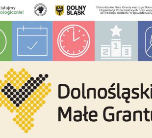 Poznaliśmy projekty dofinansowane w ramach Dolnośląskich Małych Grantów Poznaliśmy projekty dofinansowane w ramach Dolnośląskich Małych Grantów