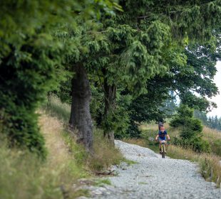 Powrót do Obiszowa. Bike Maraton z Pucharem Polski w Gminie Grębocice