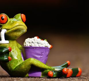 Izerska Łąka zaprasza na seans