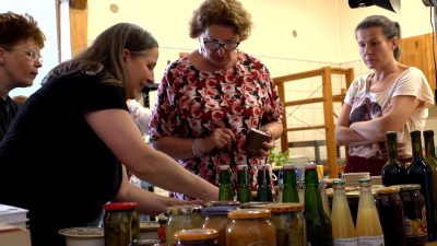 Kiszonki dobre na wszystko