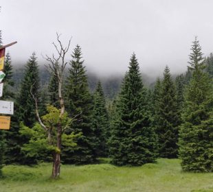 Czy Karkonoski Park Narodowy się powiększy? Czy Karkonoski Park Narodowy się powiększy?
