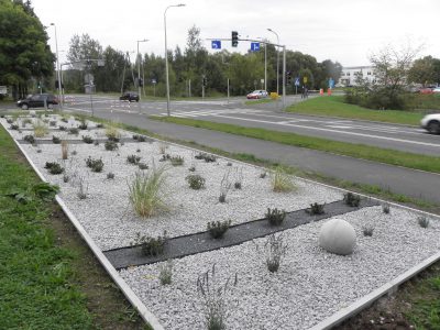 Na Zabobrzu pojawiły się nowe rabaty kwiatowe