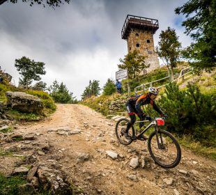 7 Rowerowy Bieg Piastów z udziałem prawie tysiąca zawodników