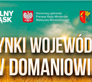 Święto Plonów w Domaniowie