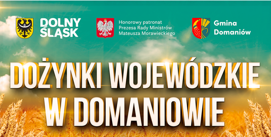 Święto Plonów w Domaniowie