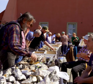 W Cieplicach rozpoczęła się 55 Giełda Minerałów i Skamieniałości