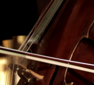 Rusza festiwal Silesia Sonans Rusza festiwal Silesia Sonans