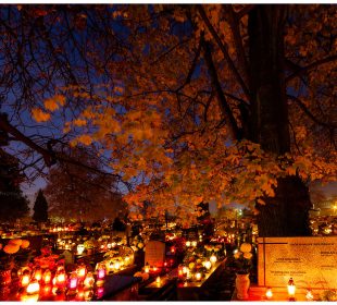 Wszystkich Świętych już niebawem Wszystkich Świętych już niebawem