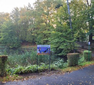 W Jeleniej Górze pojawiły się ptasie bufety i tablice edukacyjne